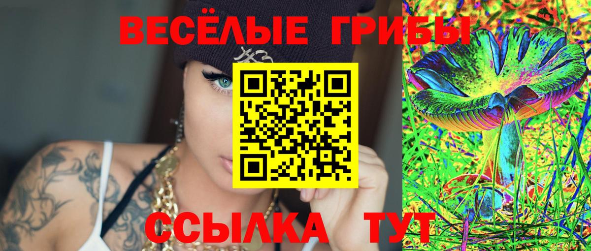 Псилоцибиновые грибы GOLDEN TEACHER  Галлюциногенные грибы прущие грибы  Чебаркуль  Вход с VPN 