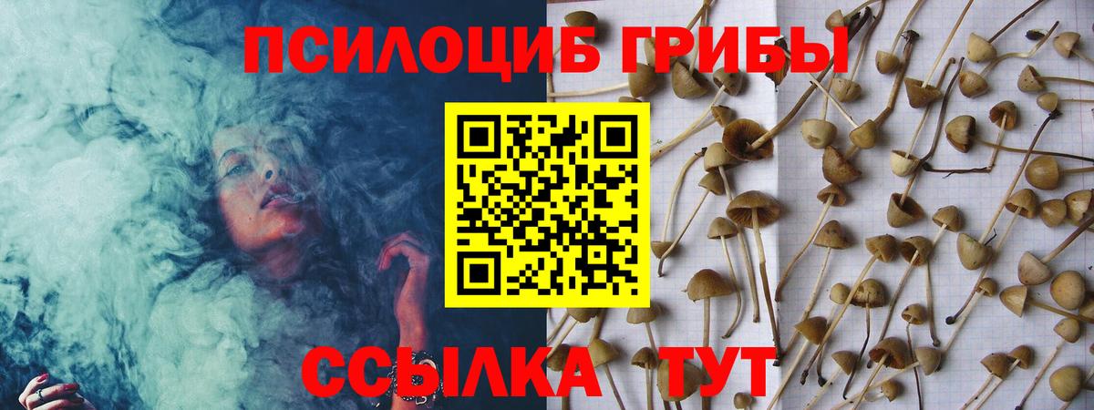 Псилоцибиновые грибы Magic Shrooms Чебаркуль